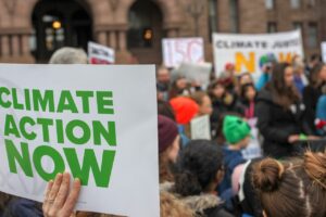 Read more about the article Expert Interviews for Climate Action