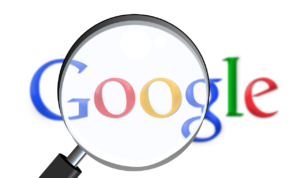 Read more about the article What is the Primary Function of Google’s Search Engine