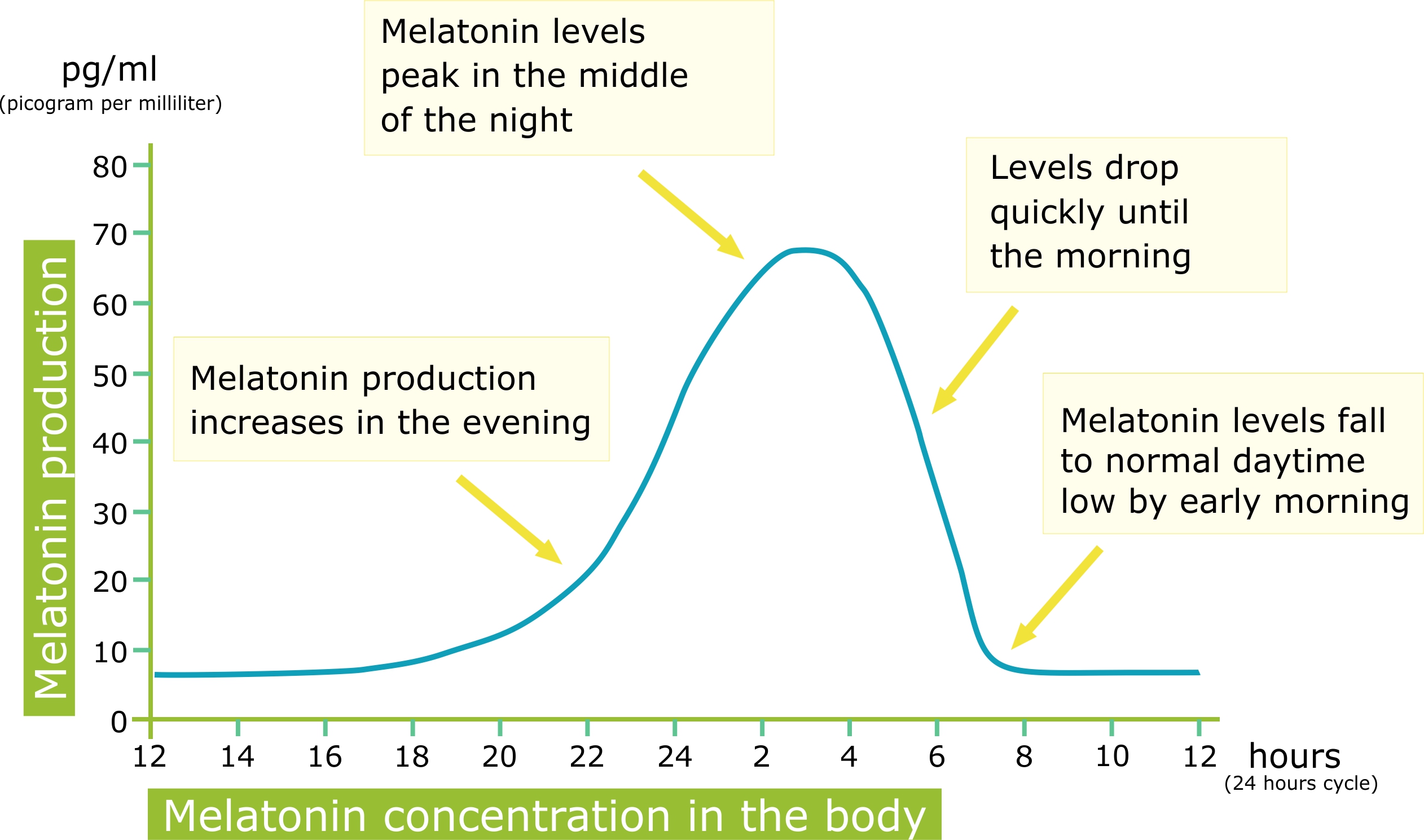 Read more about the article Melatonin Gummies: A Natural Sleep