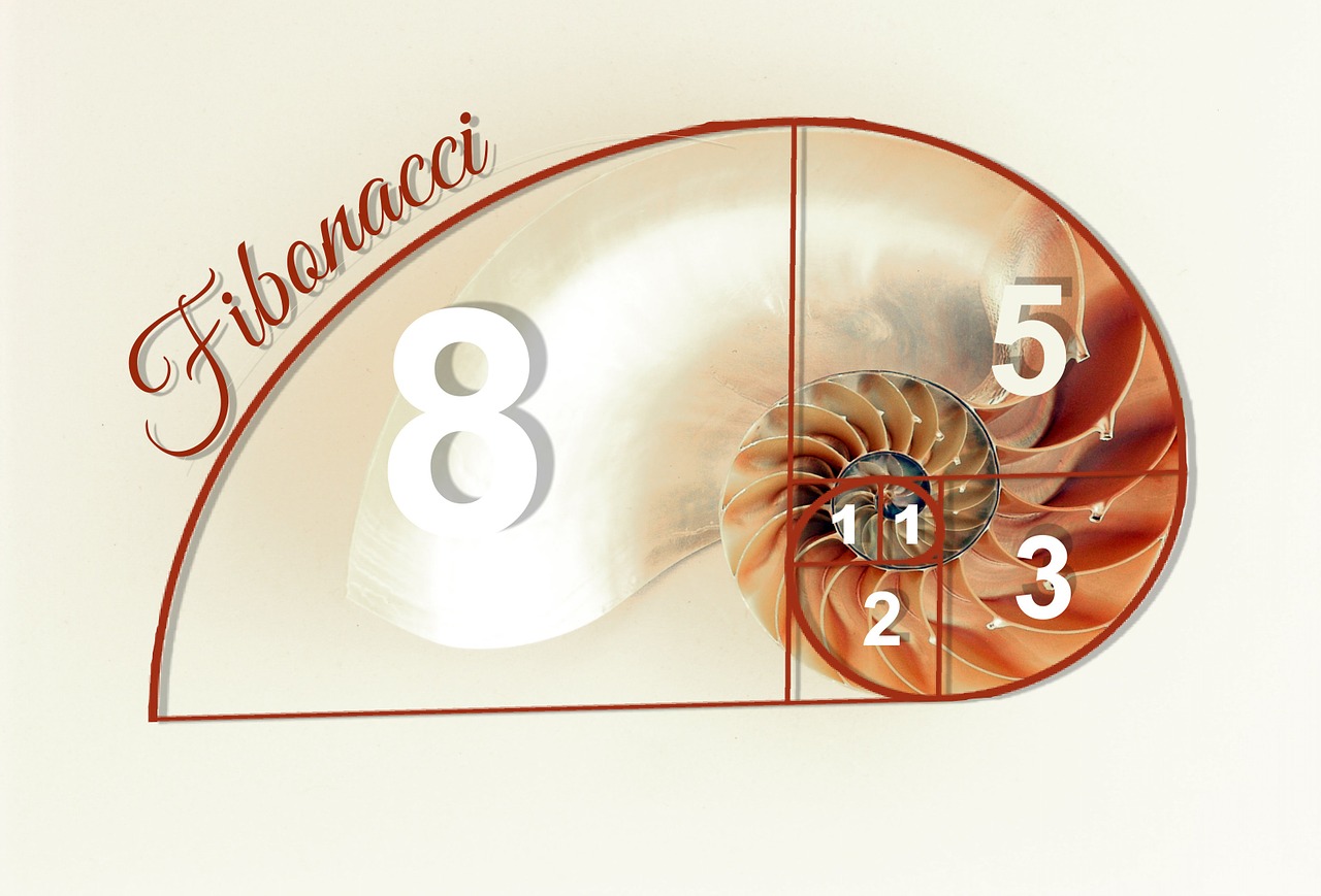 You are currently viewing The Art of Fibonacci in Natural Designs