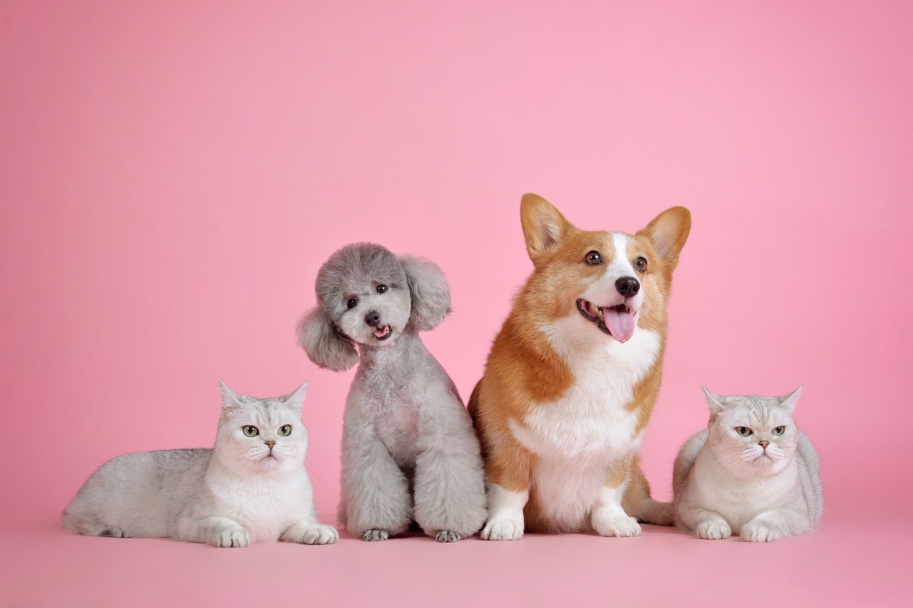 You are currently viewing Unleashing Happiness: How Pets Improve Mental Well-being