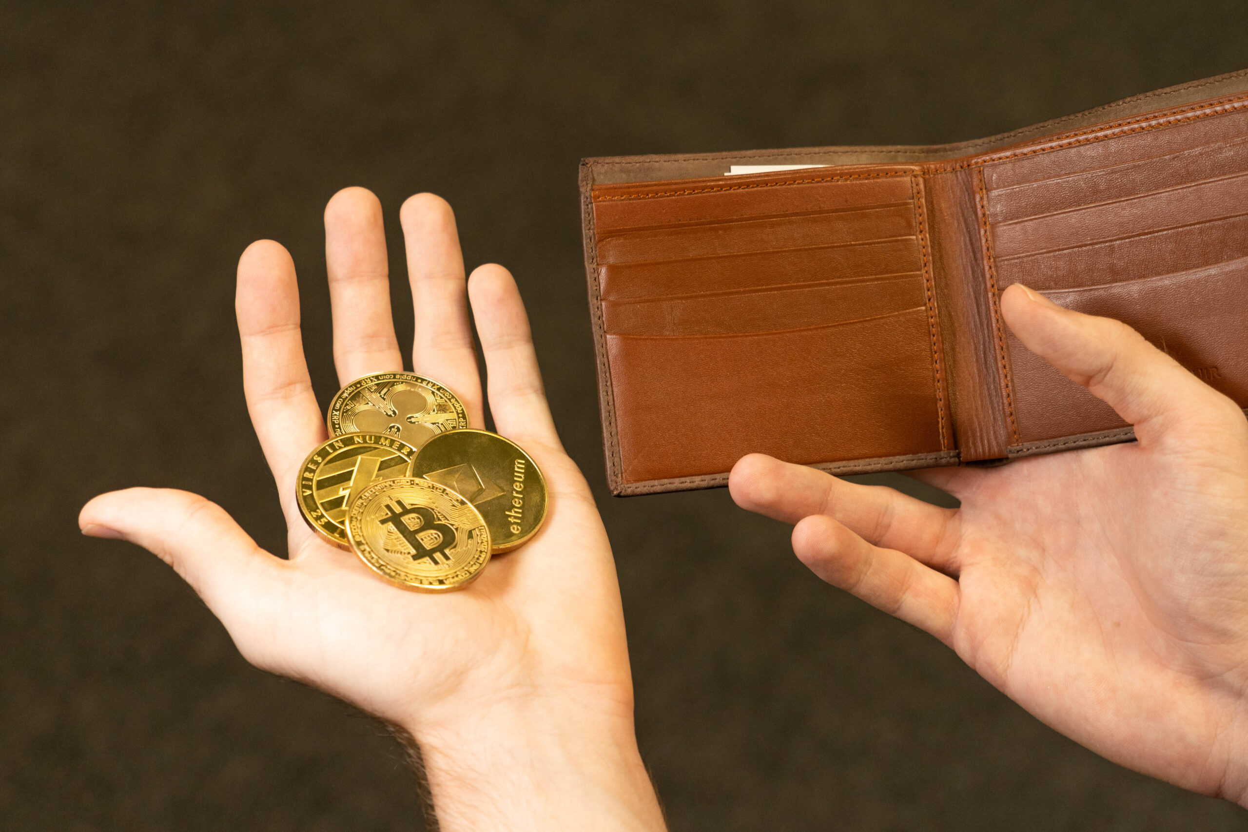 Read more about the article Cryptocurrency Wallets: Safeguarding Your Digital Assets