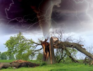 Read more about the article Tornado Safety Tips