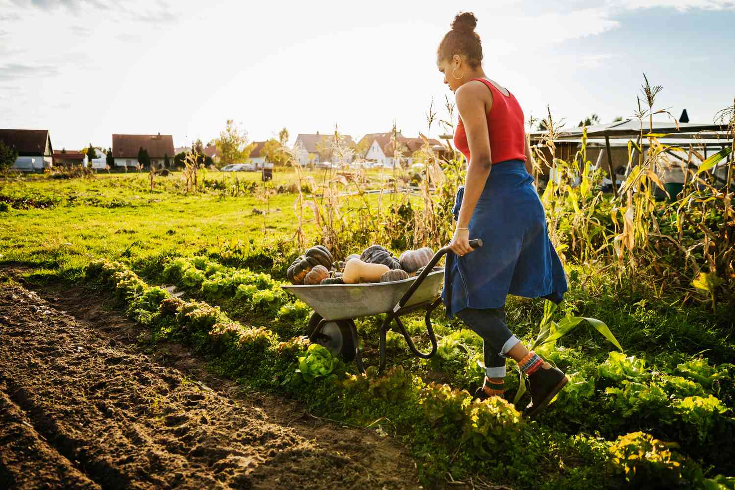 You are currently viewing Escaping Reality: The Allure of Farming Life in Another World