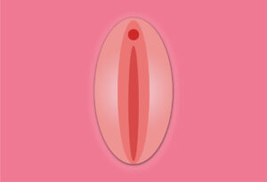 Read more about the article Unveiling the Truth: Dispelling Myths About Outie Vaginas